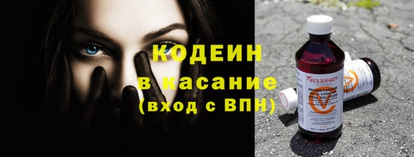 ГАЛЛЮЦИНОГЕННЫЕ ГРИБЫ Абаза