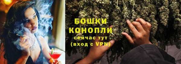 ГАЛЛЮЦИНОГЕННЫЕ ГРИБЫ Абаза