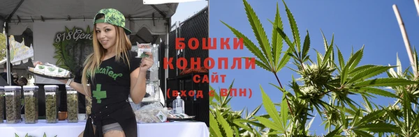 ГАЛЛЮЦИНОГЕННЫЕ ГРИБЫ Абаза