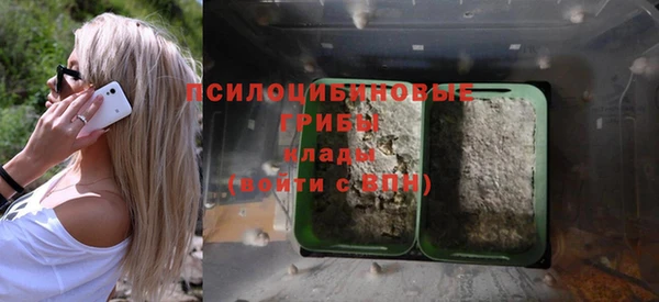 ГАЛЛЮЦИНОГЕННЫЕ ГРИБЫ Абаза