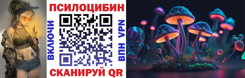 закладки  Троицк  Псилоцибиновые грибы MAGIC MUSHROOMS 